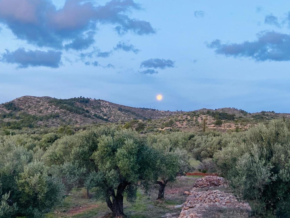Paraiso Bell Tent Tortosa Buitenkant foto