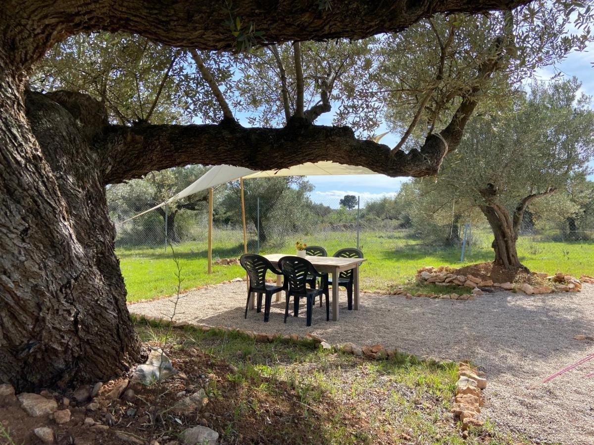 Paraiso Bell Tent Tortosa Buitenkant foto