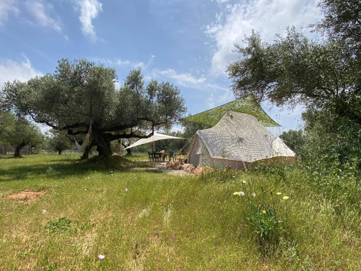 Paraiso Bell Tent Tortosa Buitenkant foto